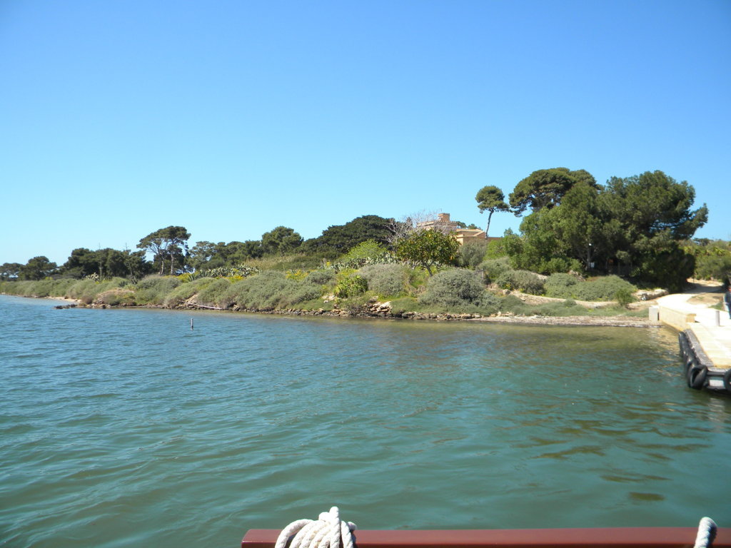 DSCN1898 (FILEminimizer).JPG